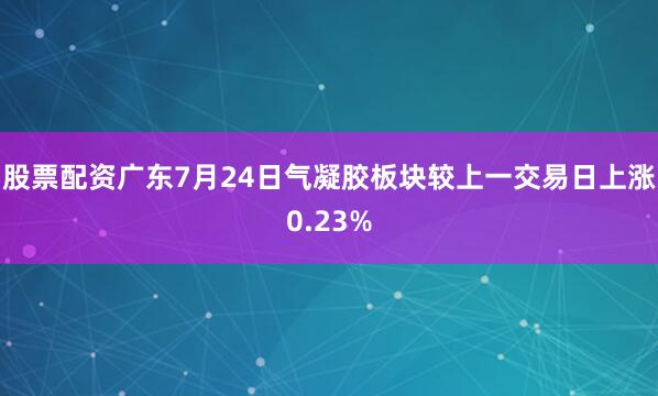 股票配资广东7月24日气凝胶板块较上一交易日上涨0.23%